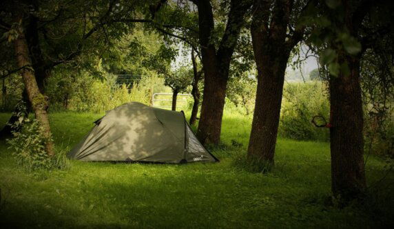 Natuurcamping in Voorst - photo 2