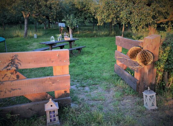 Natuurcamping in Voorst - photo 11