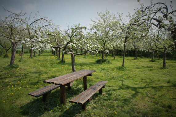 Natuurcamping in Voorst - photo 4