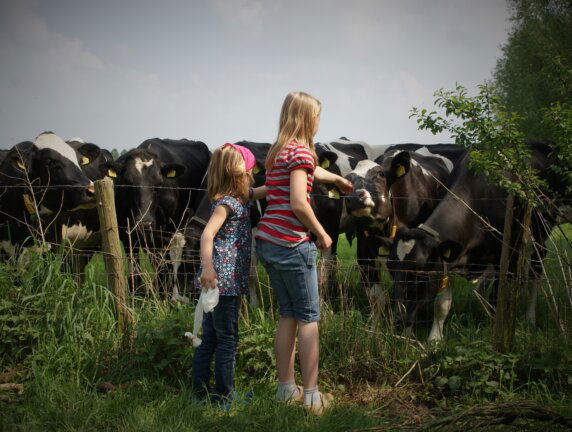 Natuurcamping in Voorst - photo 8