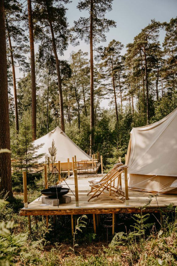 Nordic Woods - photo 7