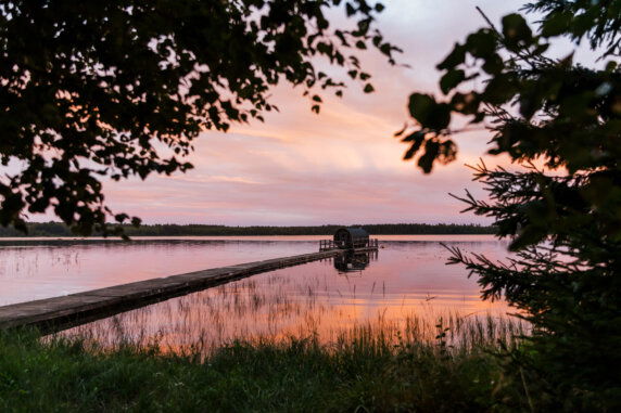 Nordic Woods - photo 20