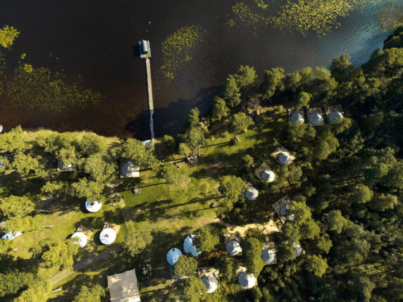 Nordic Woods - photo 5