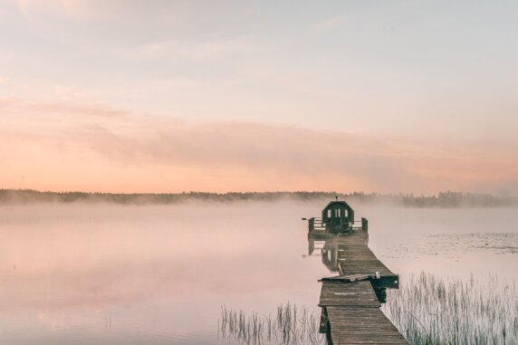 Nordic Woods - photo 8