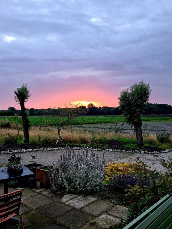 uitzicht vink vriendelijk