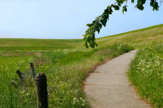 Vakantiepark de Zeeuwse Parel - photo 9