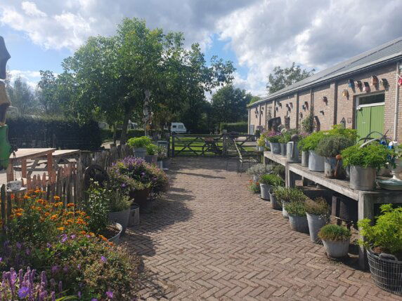 Camperplaats en Minicamping &#8217;t Skônste Plekske - photo 11