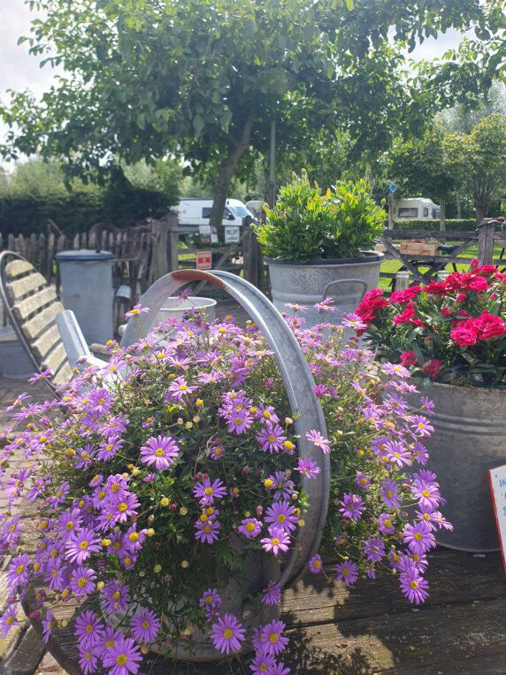 Camperplaats en Minicamping &#8217;t Skônste Plekske - photo 15