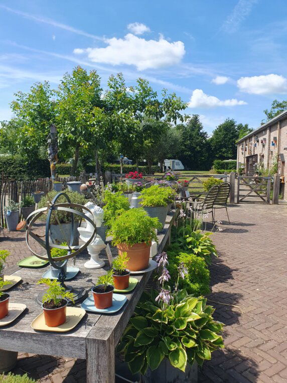 Camperplaats en Minicamping &#8217;t Skônste Plekske - photo 6