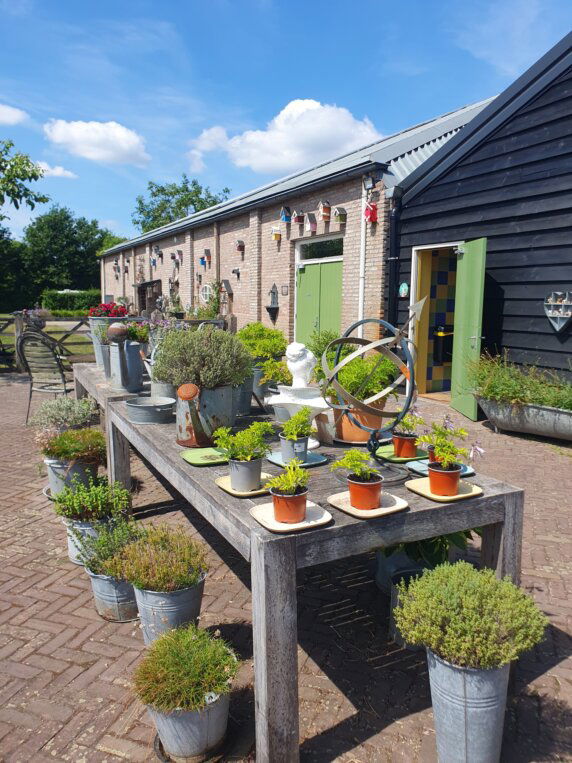 Camperplaats en Minicamping &#8217;t Skônste Plekske - photo 7