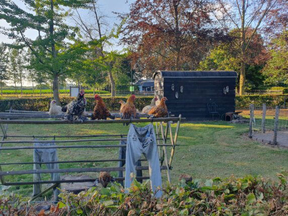 Camperplaats en Minicamping &#8217;t Skônste Plekske - photo 8