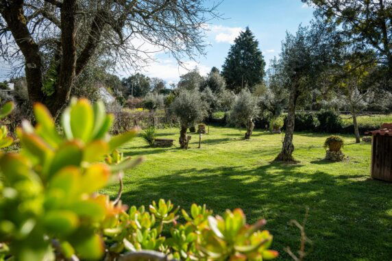 Camping Quinta da Cerejeira - photo 14