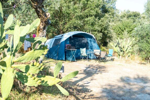 Camping Quinta da Cerejeira - photo 6