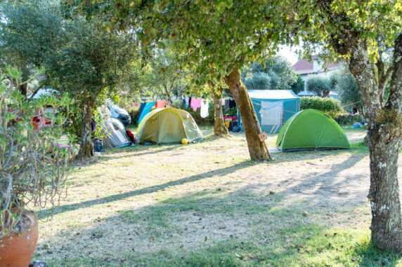 Camping Quinta da Cerejeira - photo 1