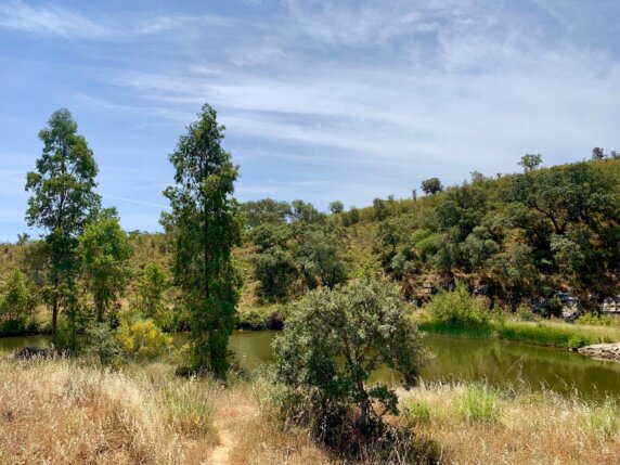 Camping Serro da Bica - photo 16