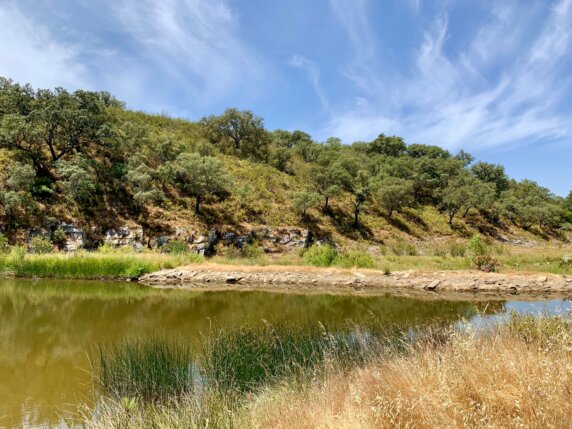 Camping Serro da Bica - photo 4