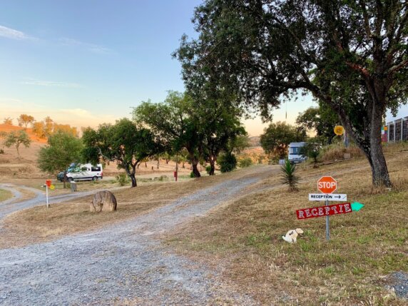 Camping Serro da Bica - photo 8