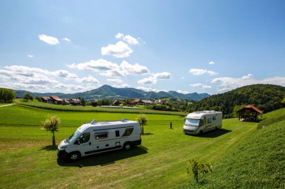 Domačija Artišek - photo 1