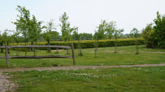 Hofstede Elzenoord - photo 13