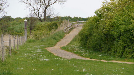 Hofstede Elzenoord - photo 11