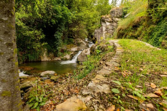 Natuurcamping in Celorico de Basto - photo 6