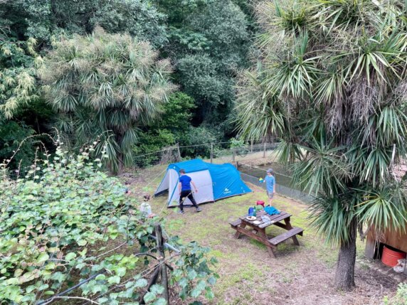 Natuurcamping in Celorico de Basto - photo 7