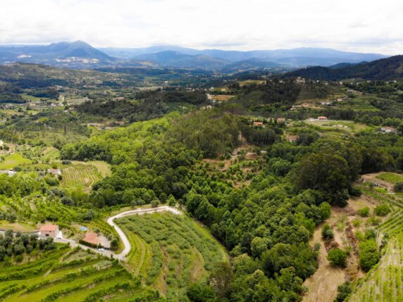 Natuurcamping in Celorico de Basto - photo 15