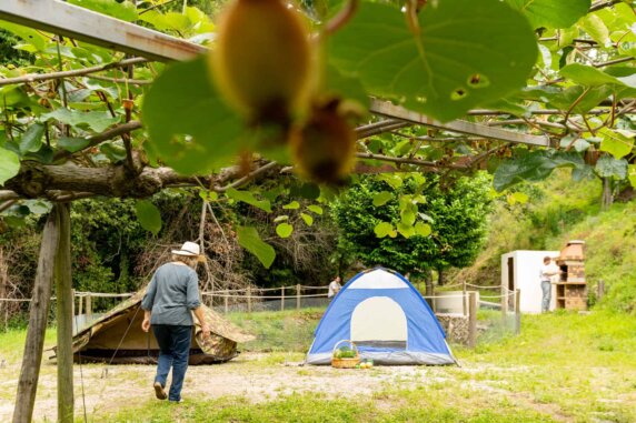 Natuurcamping in Celorico de Basto - photo 3