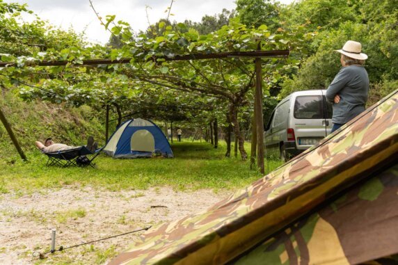 Natuurcamping in Celorico de Basto - photo 12