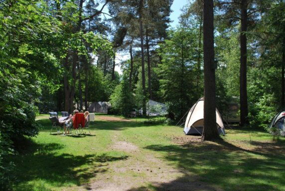 Natuurcamping in Emmen - photo 1