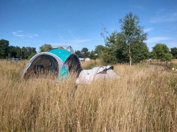 Natuurcamping in Lunteren - photo 13