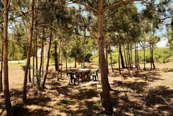 Natuurcamping in Salir do Porto - photo 7