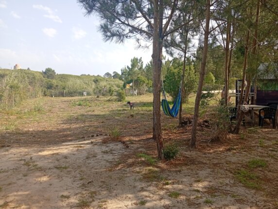 Natuurcamping in Salir do Porto - photo 6