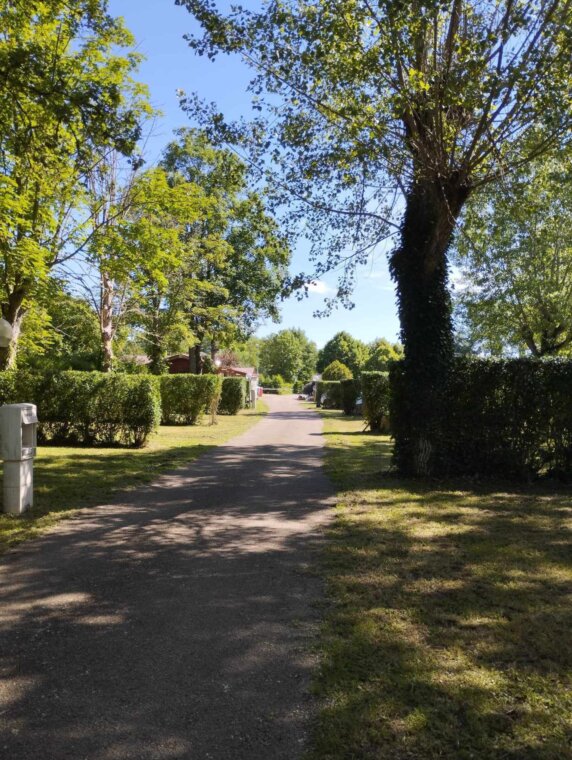 Camping Du Pont Vert - photo 5