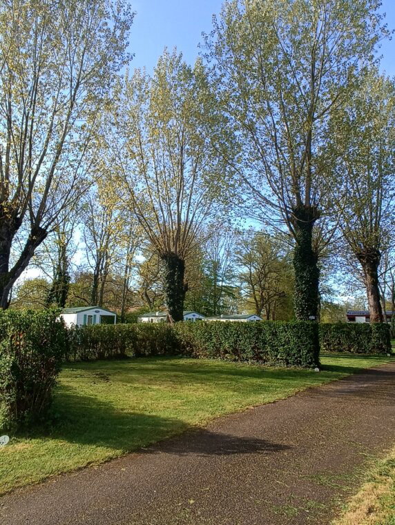 Camping Du Pont Vert - photo 10