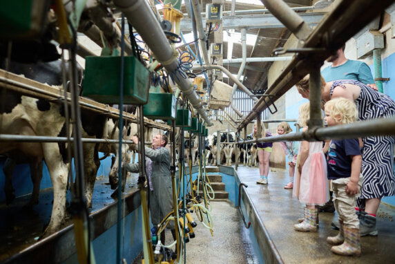 BoerenBed Billingsmoor Farm - photo 12