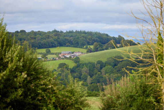 BoerenBed Billingsmoor Farm - photo 5