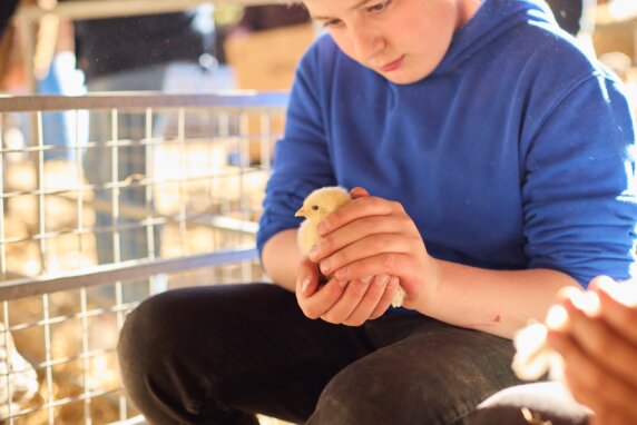 Glamping bij de boer in Zuid-Engeland - photo 6