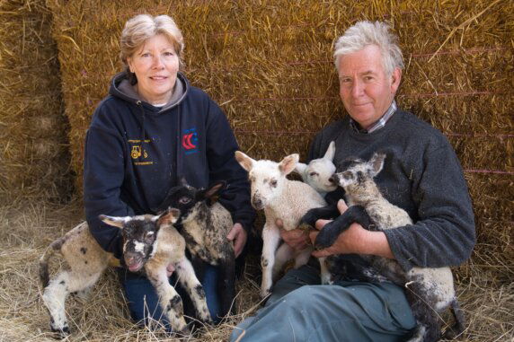 Glamping bij de boer in Zuid-Engeland - photo 10