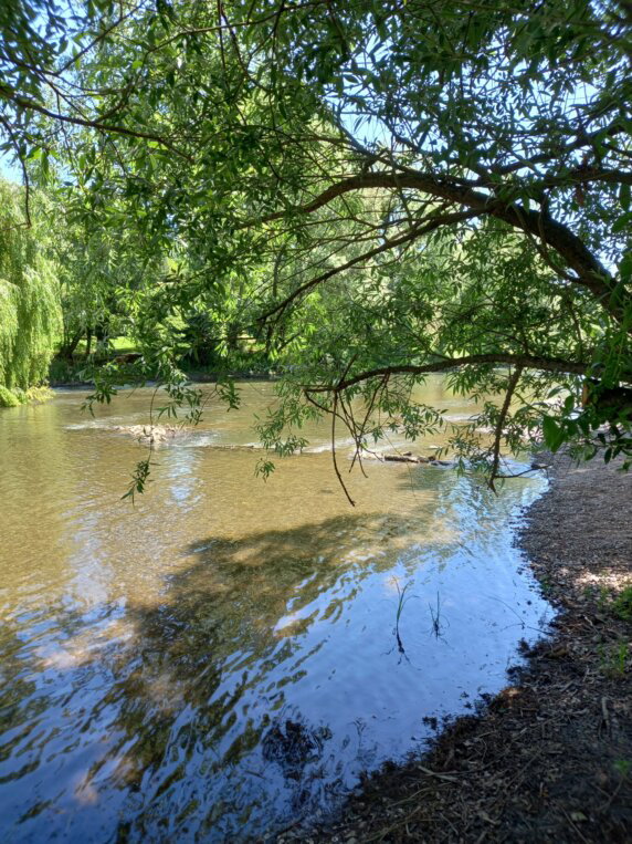 Camping l’Esplanade - photo 18
