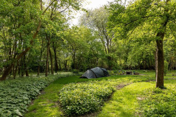 Cleygaerd Natuurcamping - photo 1