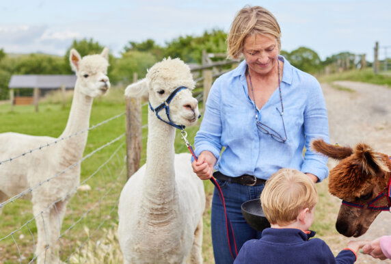 BoerenBed East Shilvinghampton Farm - photo 10