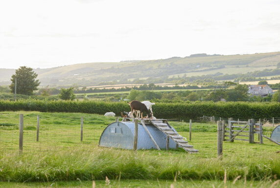 BoerenBed East Shilvinghampton Farm - photo 5