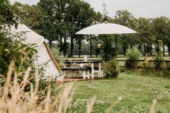 Minicamping Erve Hasselo - photo 3