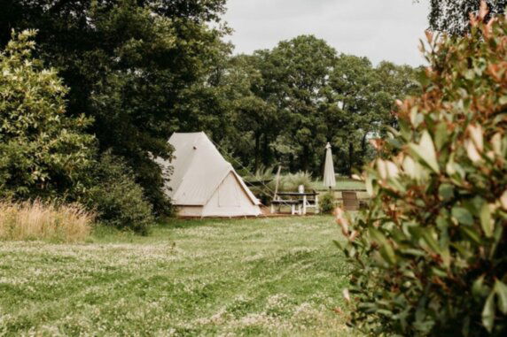 Minicamping Erve Hasselo - photo 2