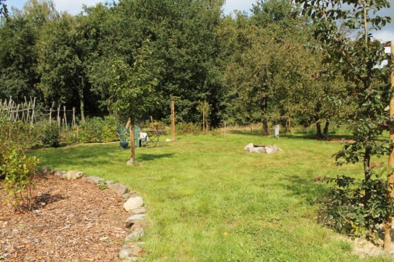Natuurcamping in Helchteren - photo 4
