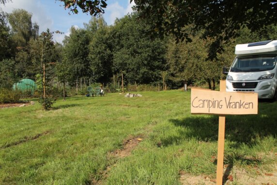 Natuurcamping in Helchteren - photo 5