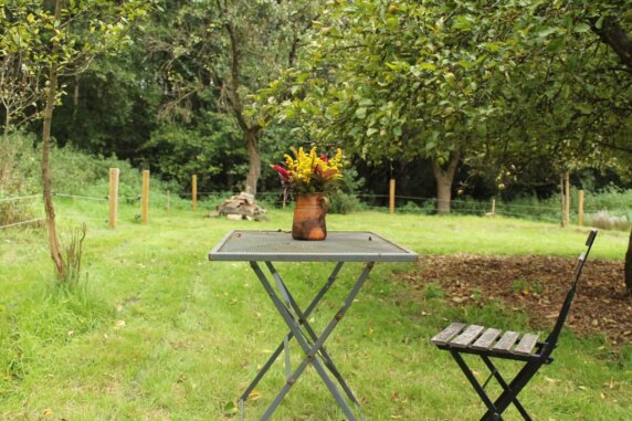 Natuurcamping in Helchteren - photo 8