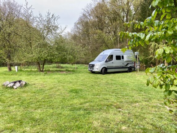 Natuurcamping in Helchteren - photo 6