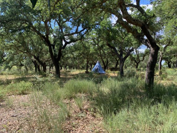 Natuurcamping in Juncal do Campo - photo 1